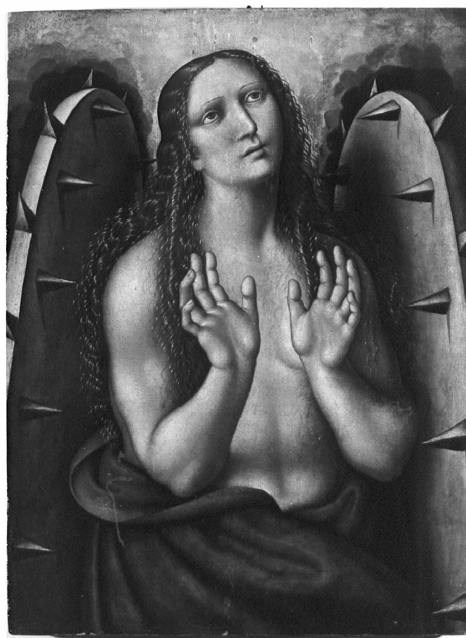 Santa Caterina d'Alessandria con i simboli del martirio (dipinto) - ambito lombardo (sec. XVI)