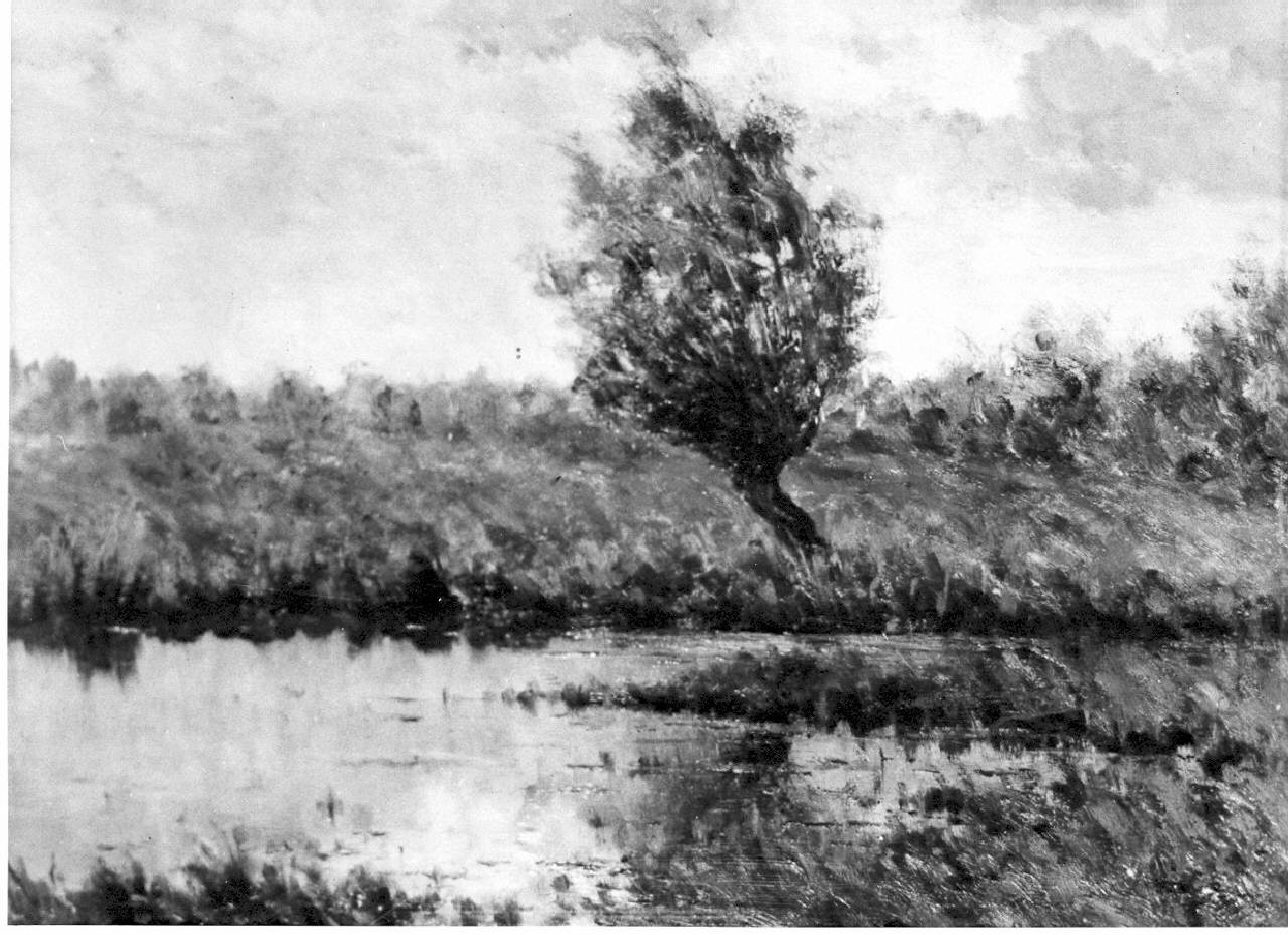 Lanca con piante e prati (dipinto) - ambito pavese (sec. XX)