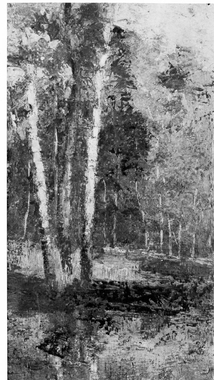 paesaggio boschivo (dipinto) - ambito pavese (sec. XX)