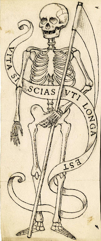 disegno di Bagatti Valsecchi Fausto; Bagatti Valsecchi Giuseppe (secc. XIX/ XX)