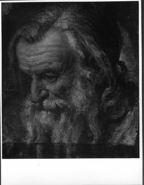 TESTA DI VECCHIO (dipinto) - scuola lombarda (primo quarto sec. XVII)