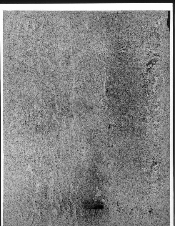 Madonna del Cardellino (copia), MADONNA CON BAMBINO E SAN GIOVANNINO (dipinto) - scuola italiana (prima metà sec. XIX)