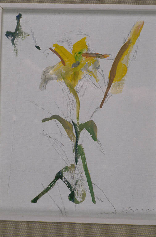 FIORE (dipinto) di Treccani Ernesto (sec. XX)