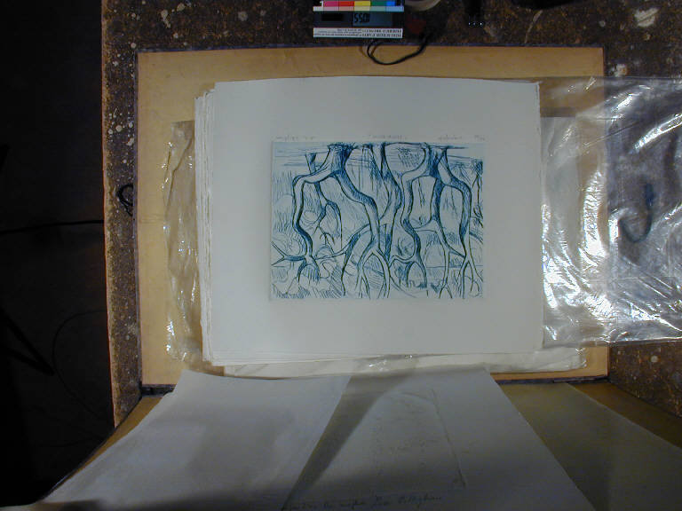 Vecchi olivi 16/40 verde, Paesaggio con alberi (stampa) di Pittigliani Ermanno (sec. XX||sec. XX)