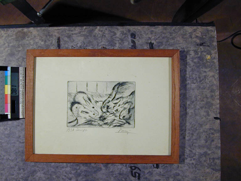 Conigli, Animale (stampa) di Bucci Anselmo (sec. XX||sec. XX)