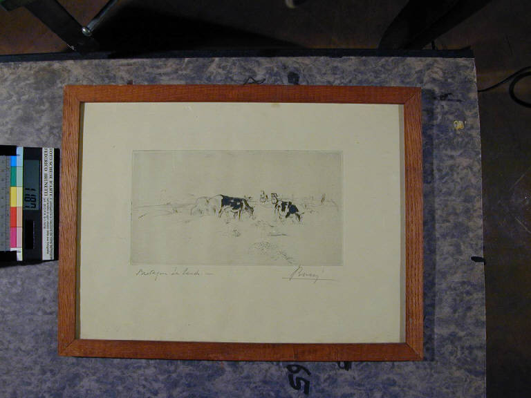 Montagna, la Landa, Paesaggio montano (stampa) di Bucci Anselmo (sec. XX||sec. XX)