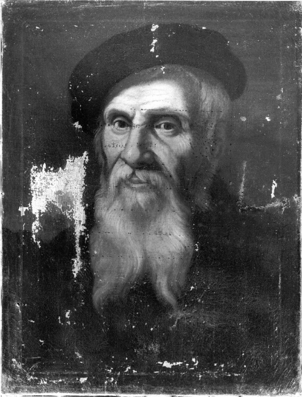 Ritratto di Baiardino Nogarola, Baiardino Nogarola (dipinto) - scuola veronese (seconda metà sec. XVI)