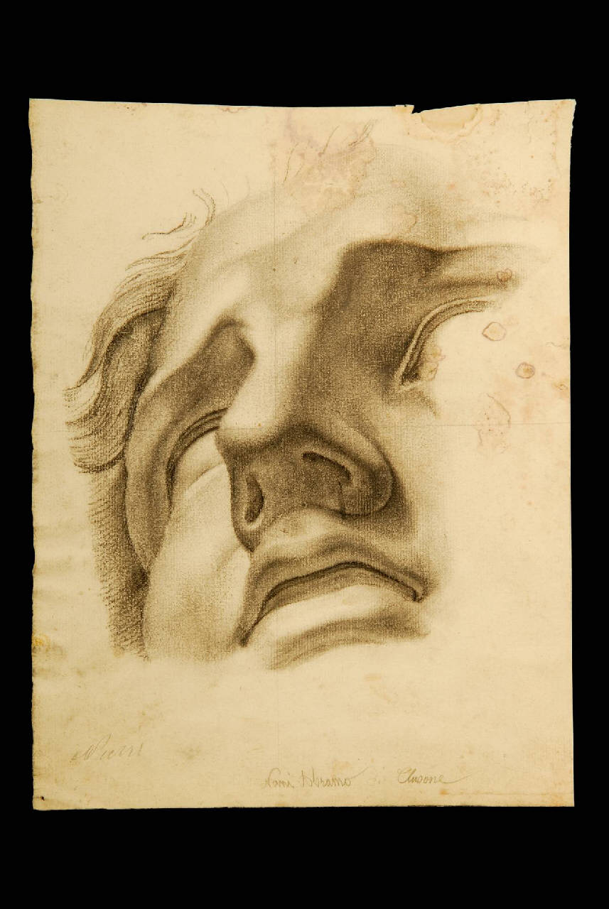 Testa virile (disegno) di Nani Abramo (ultimo quarto sec. XIX)
