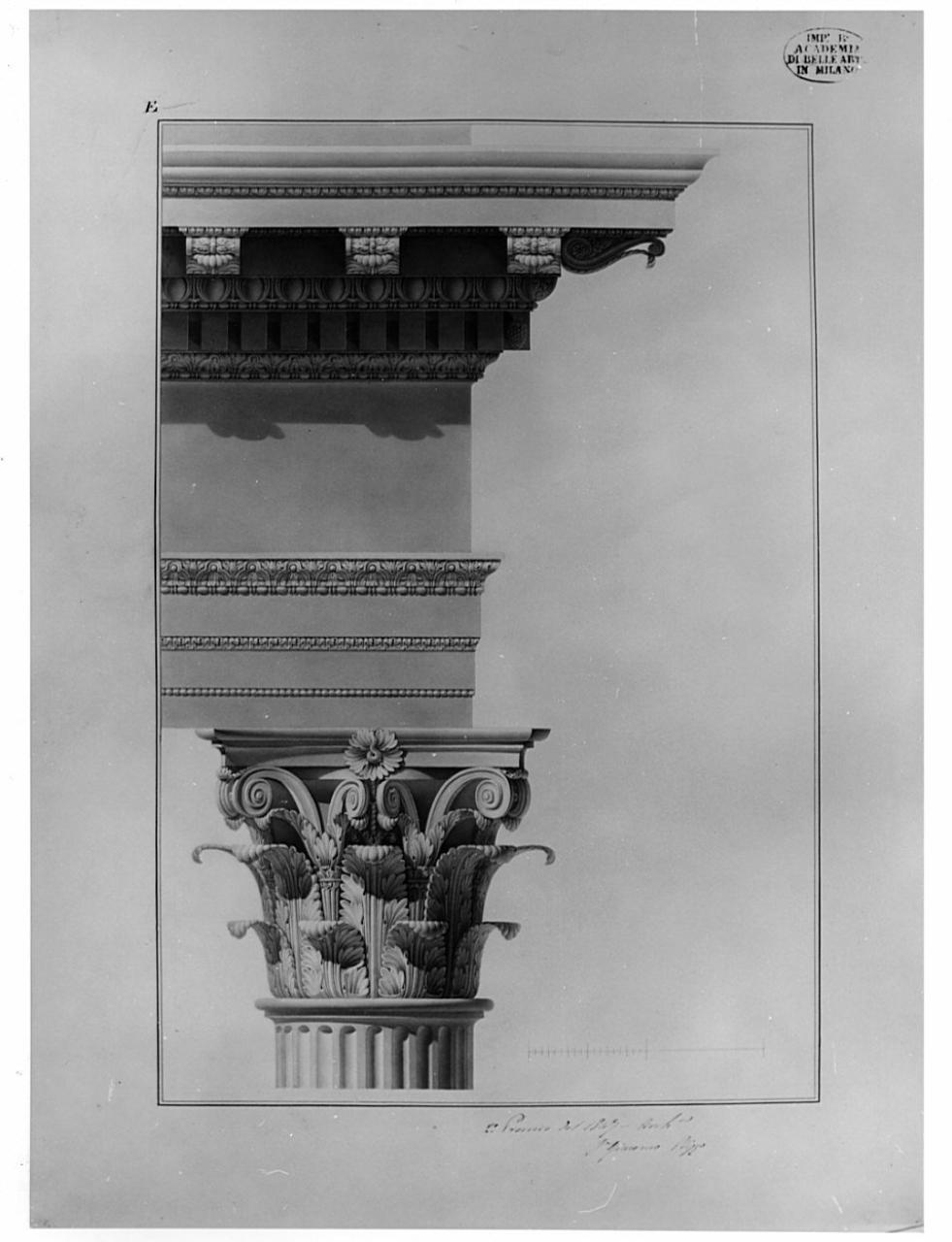 Trabeazione corinzia, architettura: trabeazione corinzia (dettaglio) (disegno) di Rizzo, Giacomo (sec. XIX)