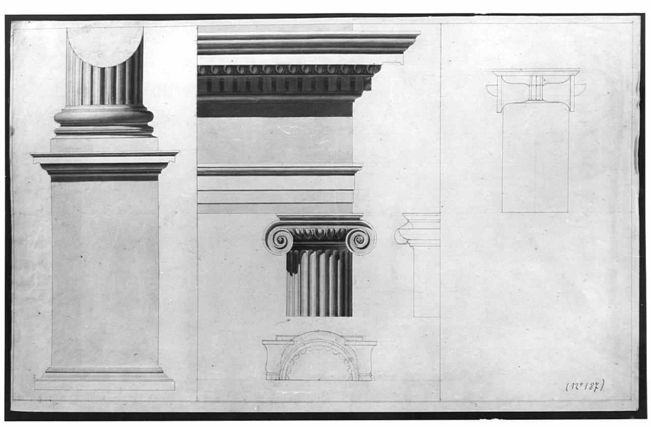 Colonna e capitello ionico, architettura: colonna ionica (pianta, alzato e sezione) (disegno) - Scuola di architettura dell'Accademia di Brera (sec. XIX)