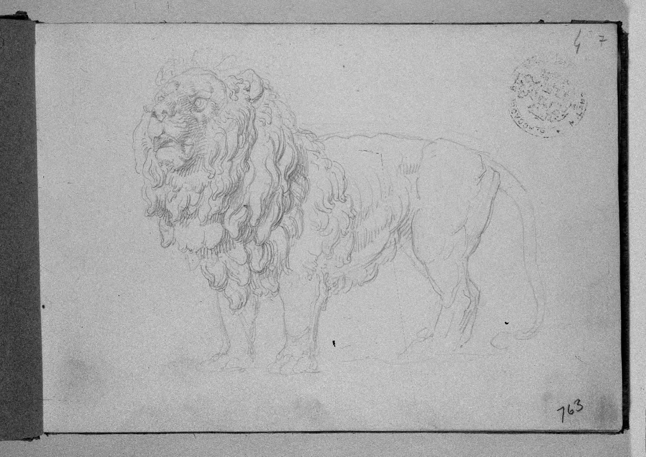 Leone, leone (disegno) di Hayez, Francesco (primo quarto||primo quarto sec. XIX||sec. XIX)