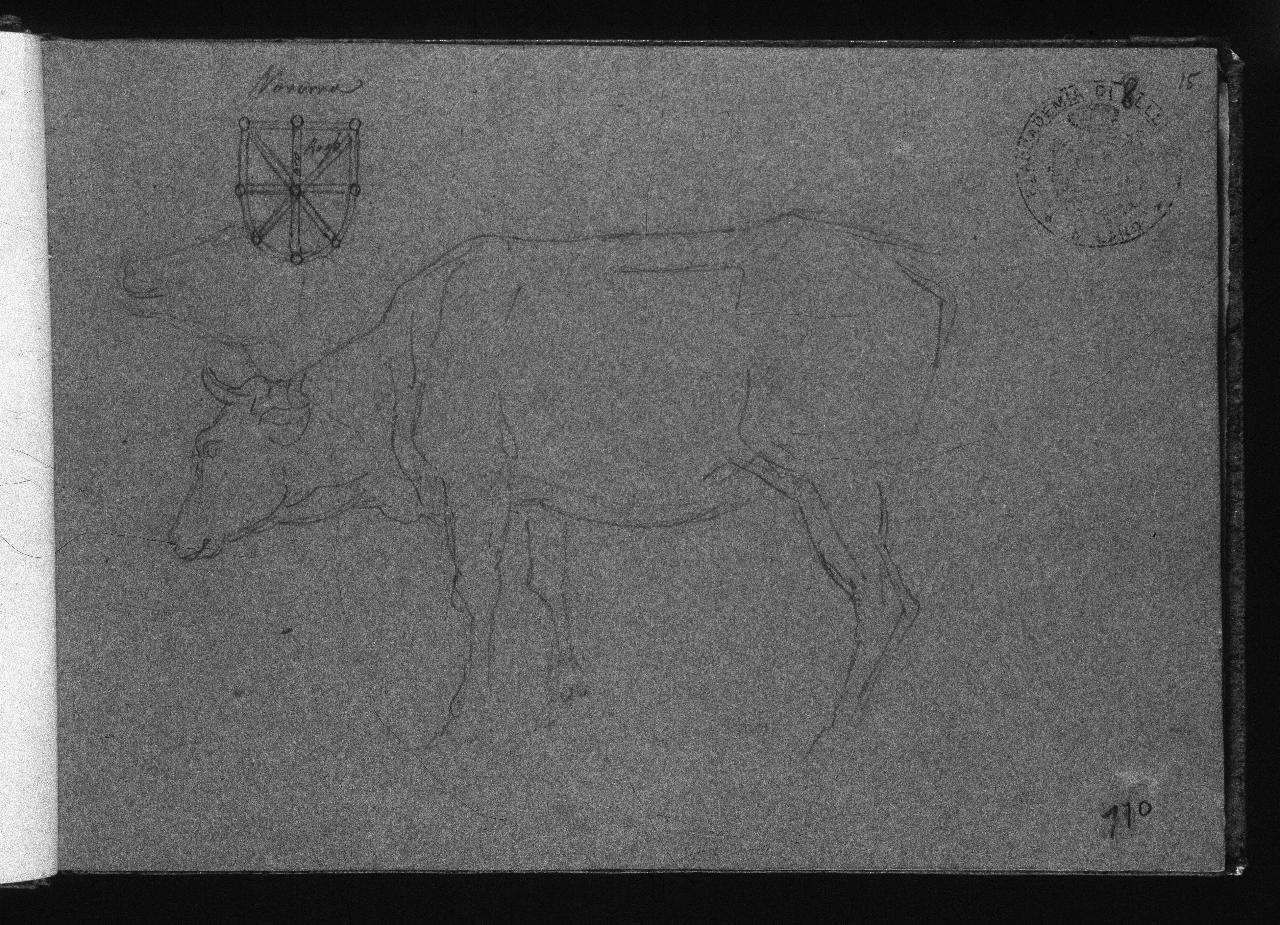 Studio di bue e stemma (già Coppia di buoi e stemma in alto - Samek), bue (disegno) di Hayez, Francesco (primo quarto||primo quarto sec. XIX||sec. XIX)