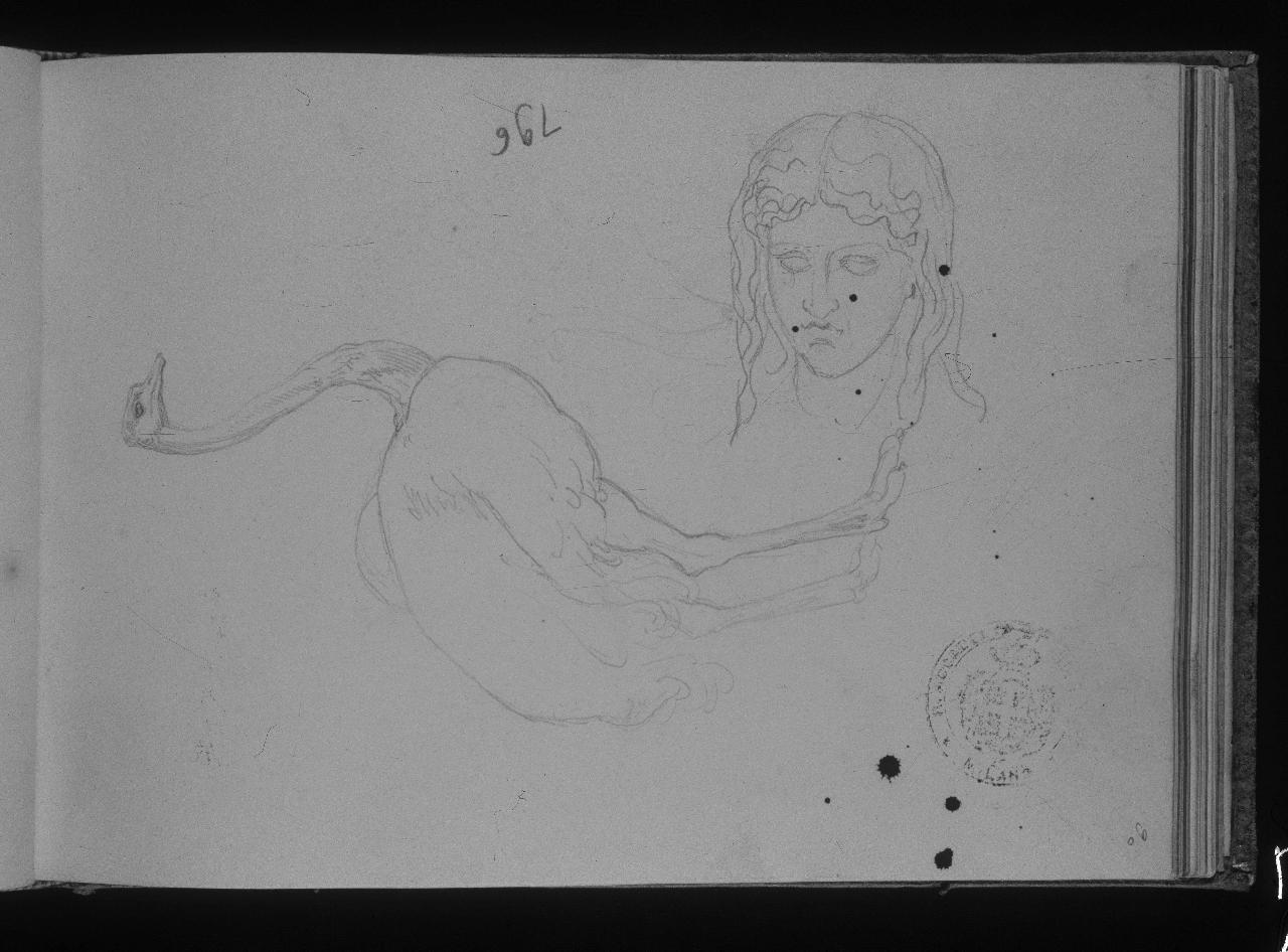 Busto di Agrippina e studio di struzzo (già Schizzo di struzzo e volto idealizzato all'antica - Samek), volto maschile e struzzo (disegno) di Hayez, Francesco (primo quarto||primo quarto sec. XIX||sec. XIX)