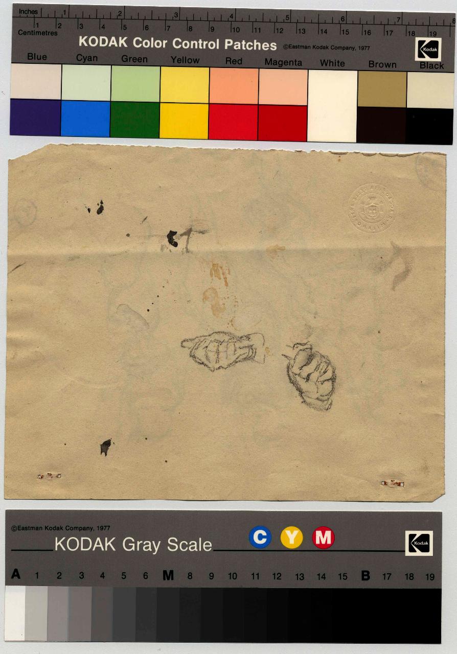 Studi di mani, mani (disegno) di Hayez, Francesco (metà sec. XIX)