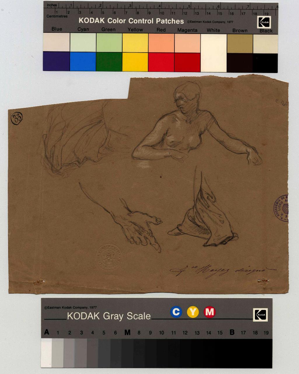 Torso femminile; panneggi e mani/ Braccio e mani, figura femminile, panneggio, braccia e mani (disegno) di Hayez, Francesco (metà sec. XIX)