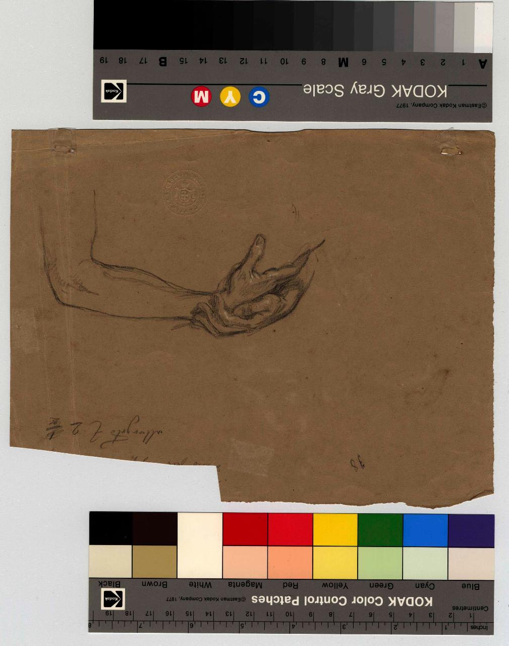 Braccio e mani, mani (disegno) di Hayez, Francesco (metà sec. XIX)