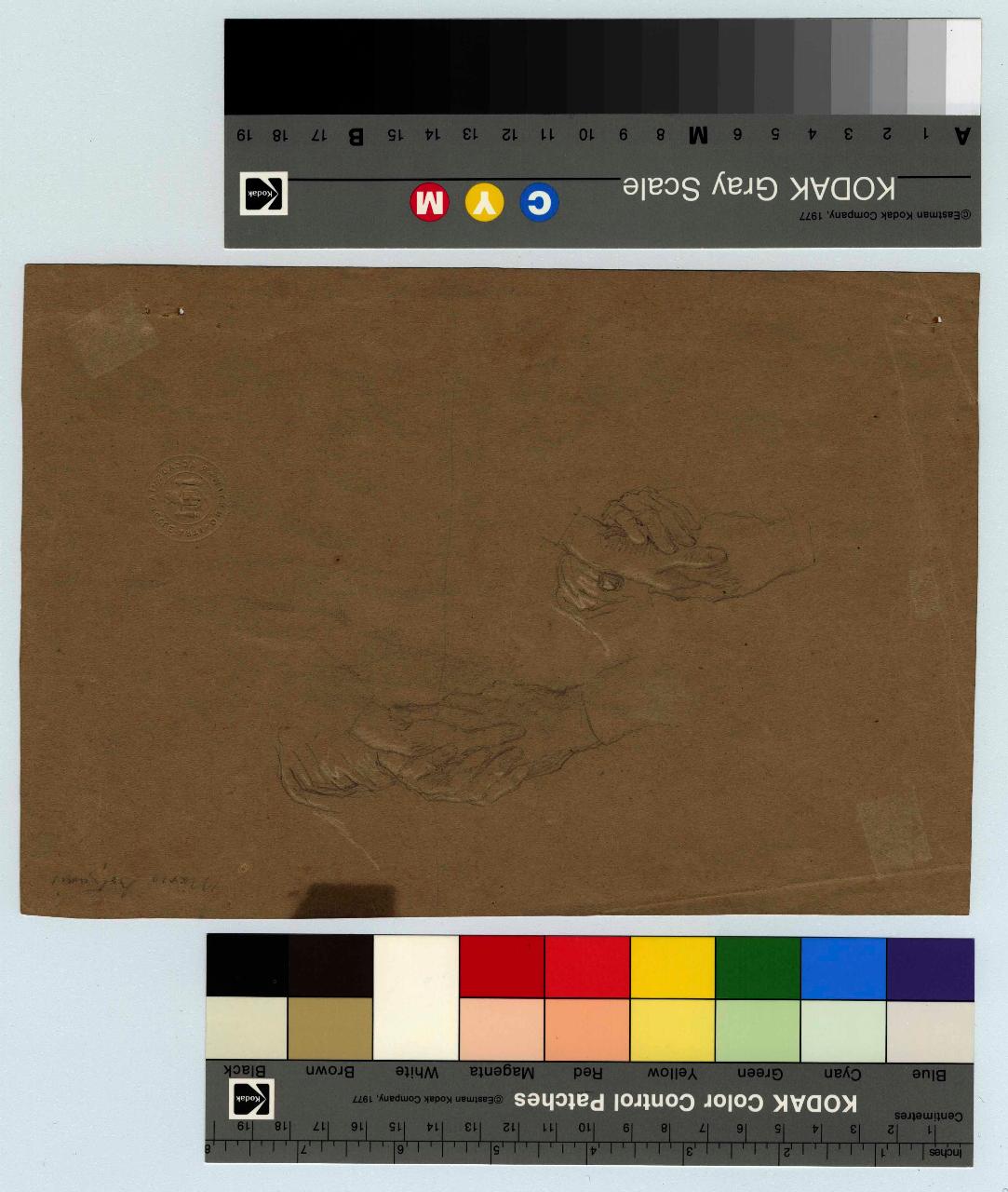 Studi di mani, mani (disegno) di Hayez, Francesco (metà sec. XIX)