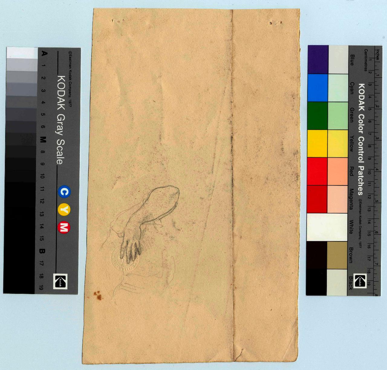 Studi di braccia e mano, mano (disegno) di Hayez, Francesco (metà sec. XIX)