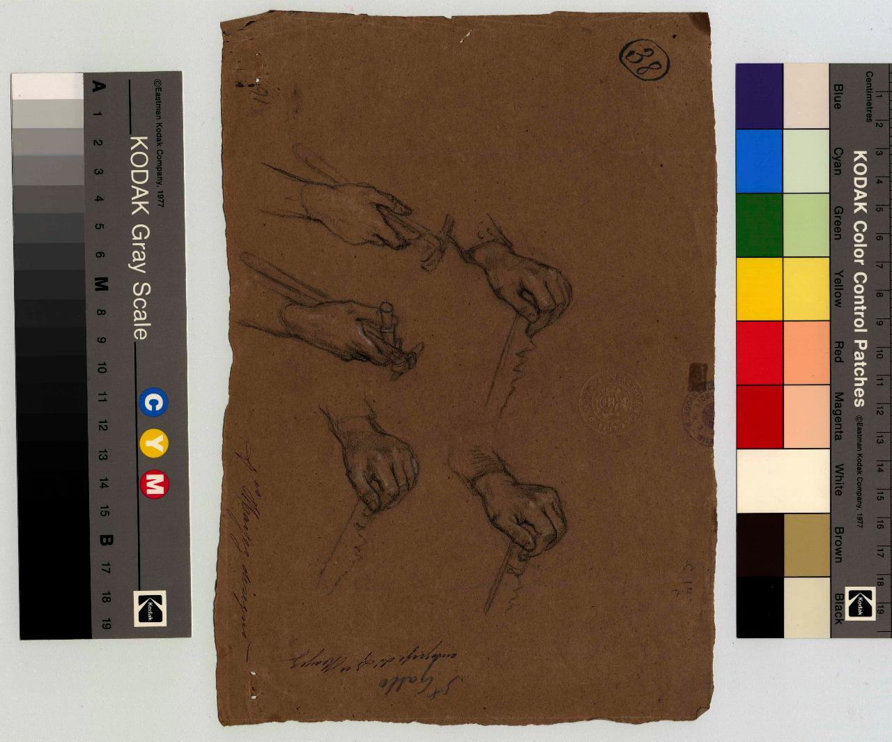 Studi di mani che reggono strumenti di falegname, mani (disegno) di Hayez, Francesco (metà sec. XIX)