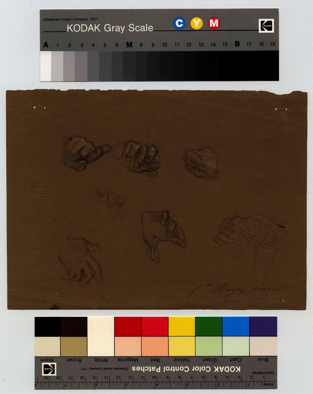 Studio di mani, mani (disegno) di Hayez, Francesco (metà sec. XIX)