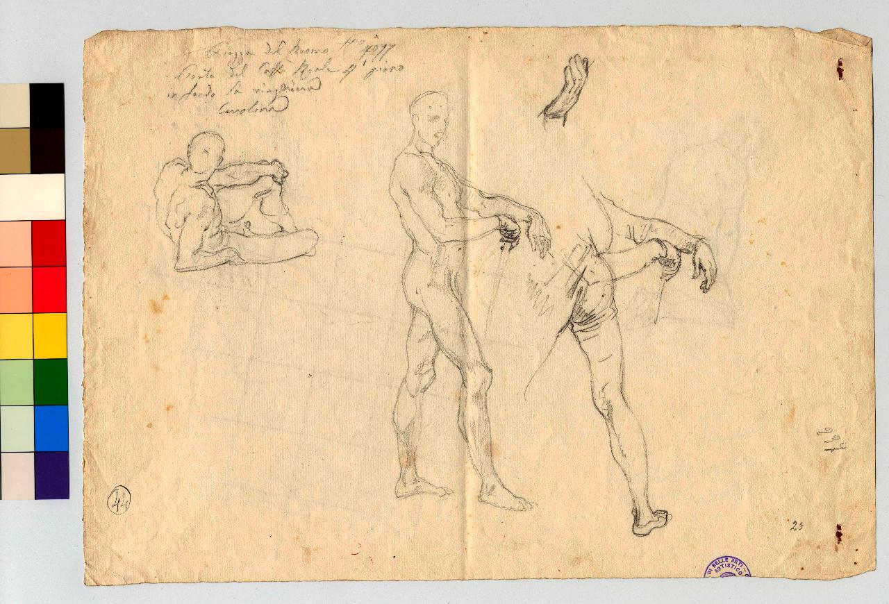 Studi di nudi virili armati. Uomo sdraiato visto da tergo/ Uomo in ginocchio; altro seduto per terra con reticolo sopra, nudi maschili, mano (disegno) di Hayez, Francesco (metà sec. XIX)
