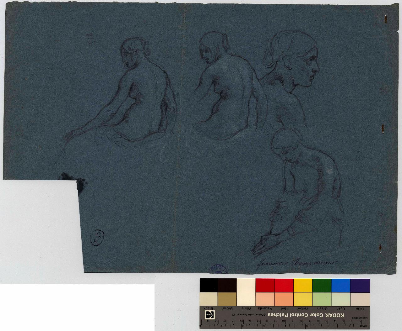 Nudi femminili; testa di profilo e figure varie, nudi femminili (disegno) di Hayez, Francesco (metà sec. XIX)