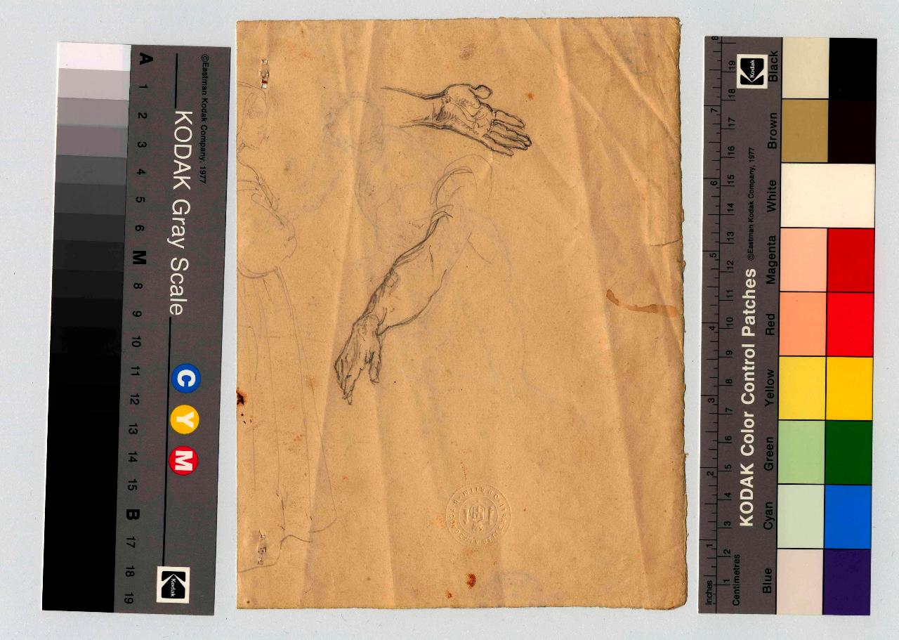 Studi di braccia e mani, mano, braccio (disegno) di Hayez, Francesco (metà sec. XIX)