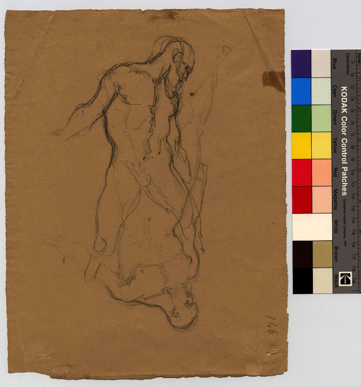 Due ignudi, nudi maschili (disegno) di Hayez, Francesco (metà sec. XIX)