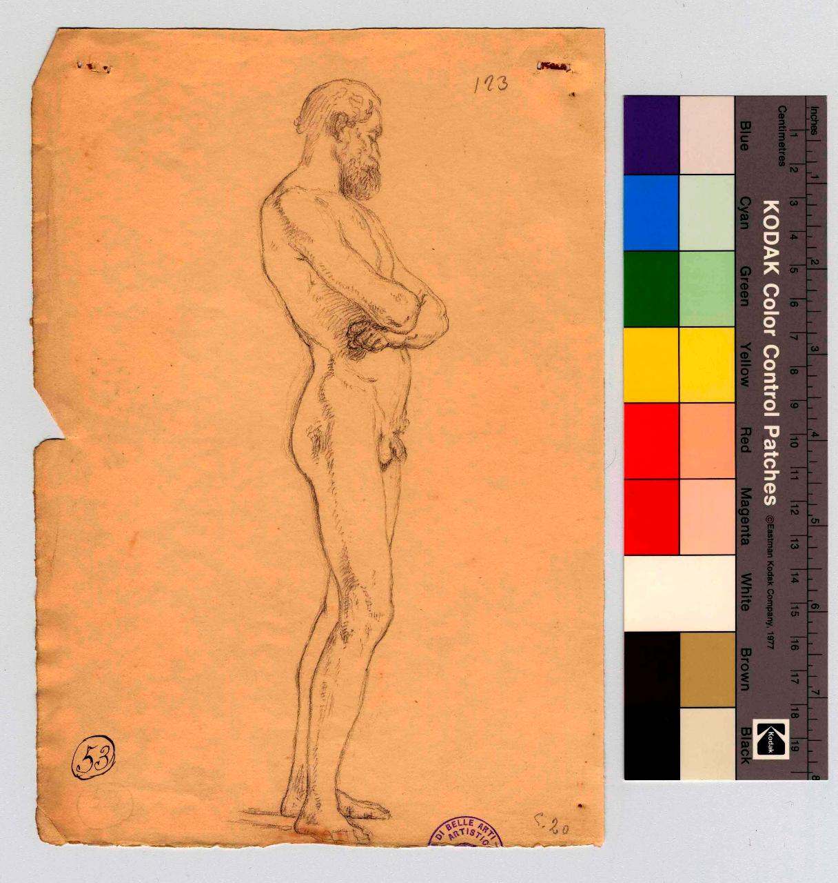 Ignudo virile, nudo maschile (disegno) di Hayez, Francesco (metà sec. XIX)