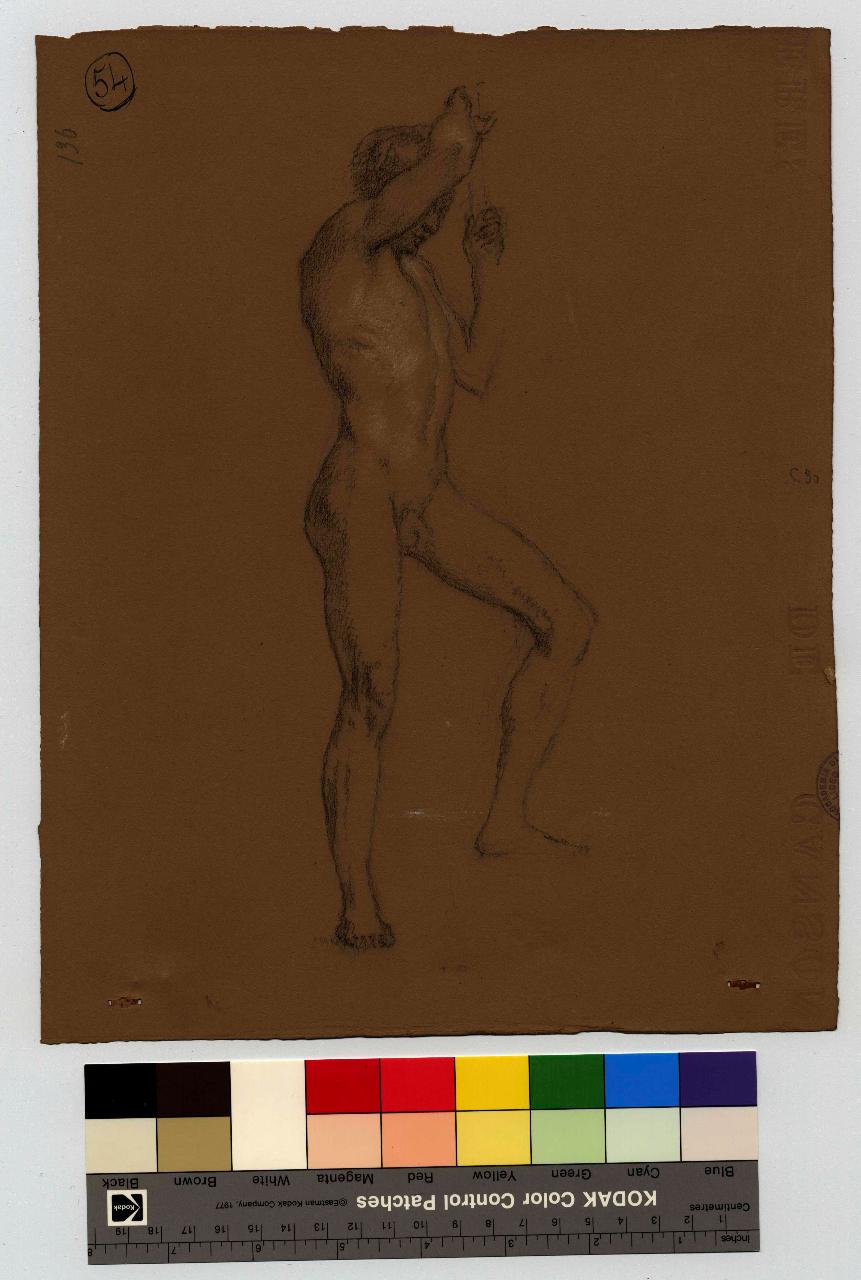 Ignudo sostenente con le braccia l'asta di una bandiera, nudo maschile (disegno) di Hayez, Francesco (metà sec. XIX)