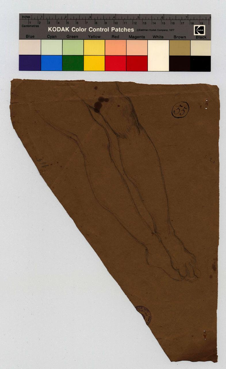 Studio di gambe e piedi, gambe, piedi (disegno) di Hayez, Francesco (metà sec. XIX)