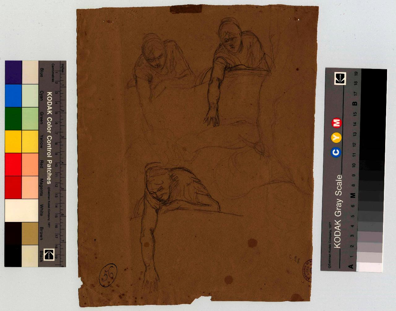 Studio di donna appoggiata a un parapetto, con braccio penzoloni al di fuori, figura femminile (disegno) di Hayez, Francesco (metà sec. XIX)