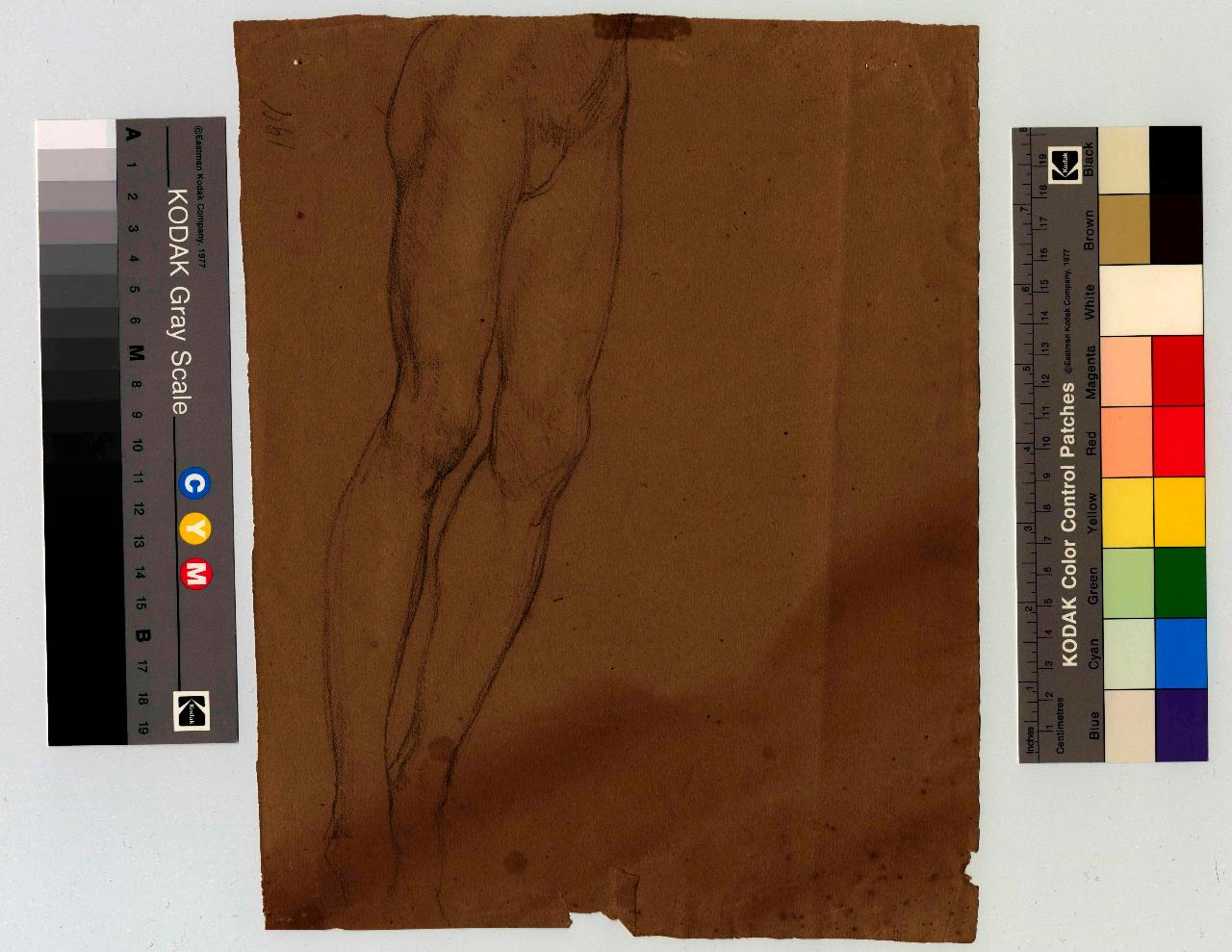 Studio di gambe, gambe (disegno) di Hayez, Francesco (metà sec. XIX)