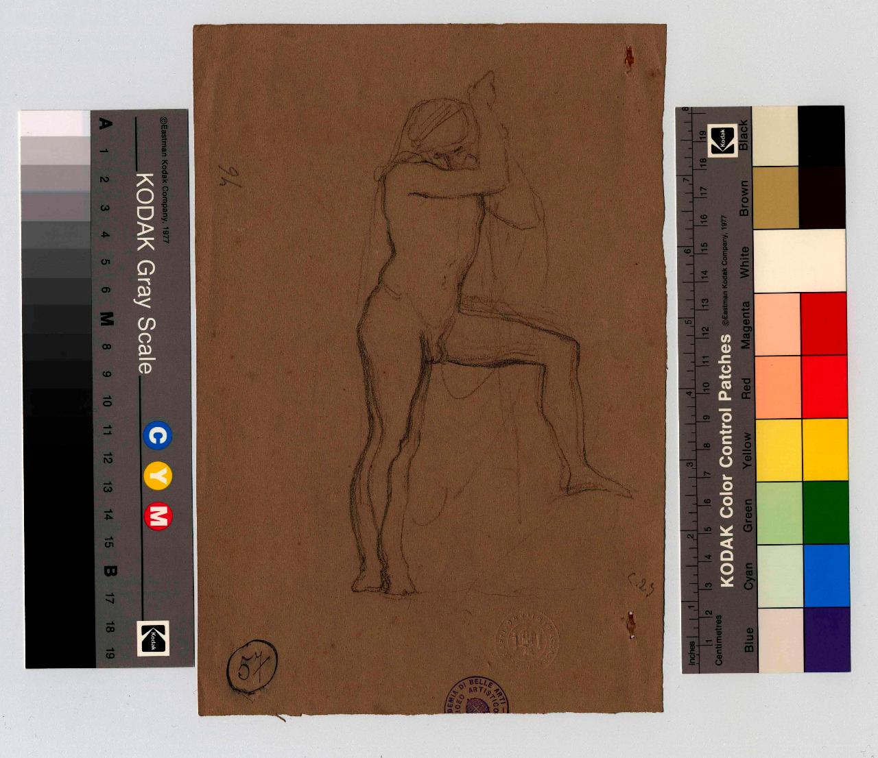 Figura virile ignuda con braccia levate, nudo maschile (disegno) di Hayez, Francesco (metà sec. XIX)