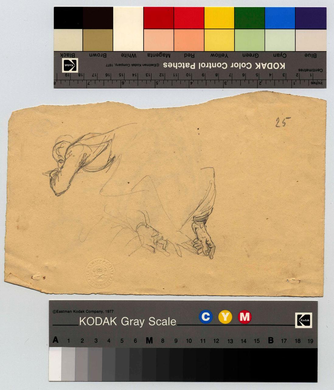 Mezzo busto di donna e studio di mani, figura femminile, mani (disegno) di Hayez, Francesco (metà sec. XIX)