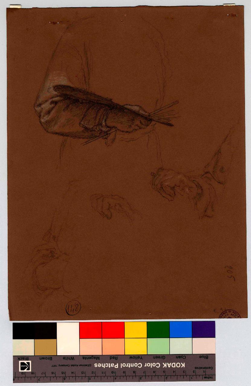 Studi per l'autoritratto e studi di mano con pennello, figura maschile, mani (disegno) di Hayez, Francesco (metà sec. XIX)