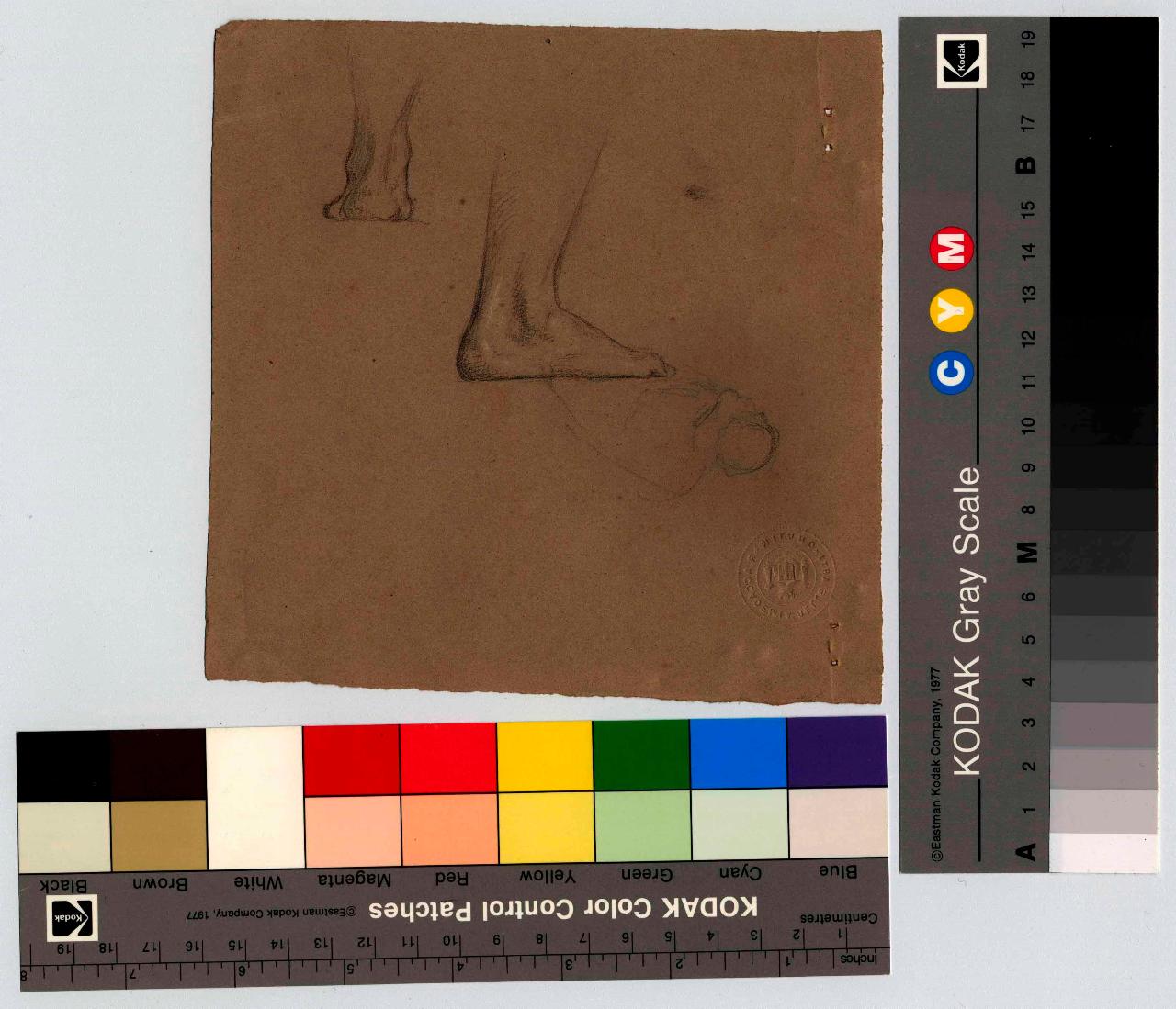 Studio di piede e figura, piede, figura maschile (disegno) di Hayez, Francesco (metà sec. XIX)