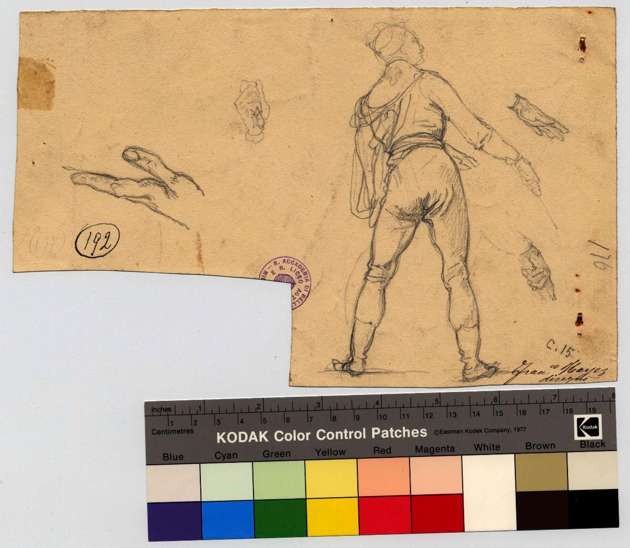 Schizzo di paggio. Studi di mani, figura maschile, mani (disegno) di Hayez, Francesco (metà sec. XIX)