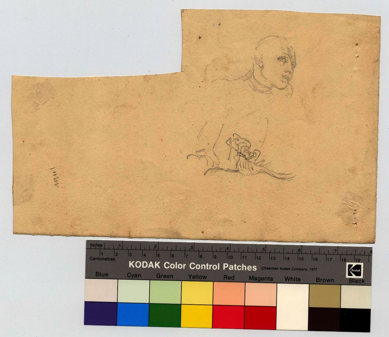 Bustino, busto (disegno) di Hayez, Francesco (metà sec. XIX)