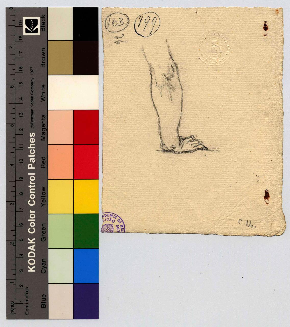 Studio di braccio, braccio (disegno) di Hayez, Francesco (metà sec. XIX)