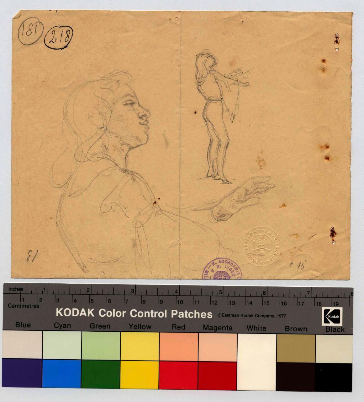 Busto e figurina intera di paggio, figura maschile, paggio (disegno) di Hayez, Francesco (metà sec. XIX)