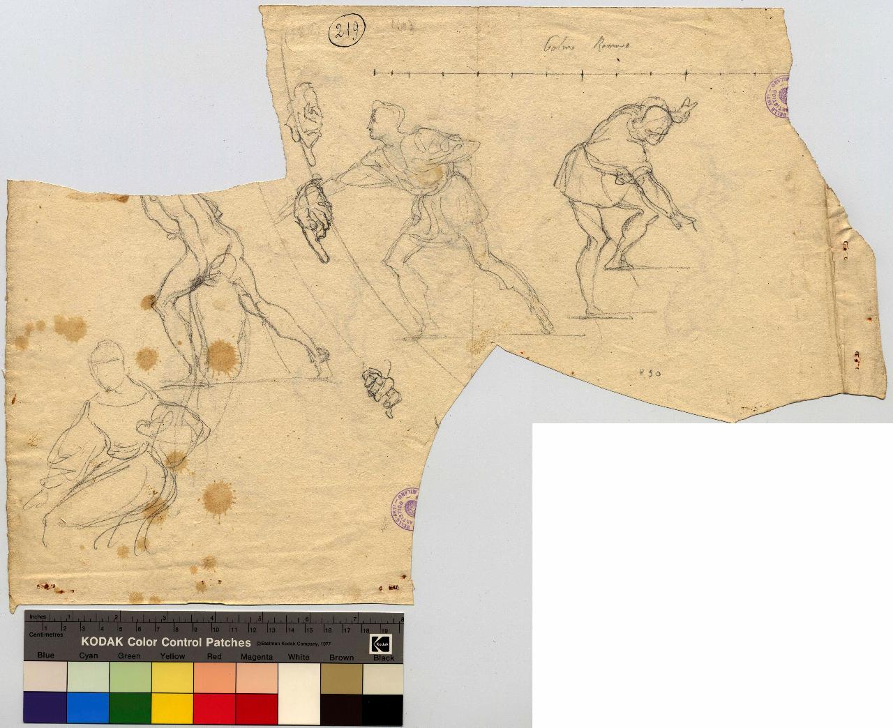 Guerrieri romani. Nudo virile. Figura di donna seduta, figure maschili, guerrieri, figura femminile (disegno) di Hayez, Francesco (metà sec. XIX)