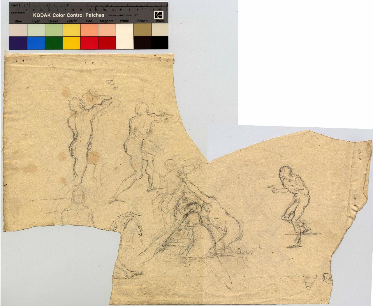 Schizzi di figure nude, nudi maschili (disegno) di Hayez, Francesco (metà sec. XIX)