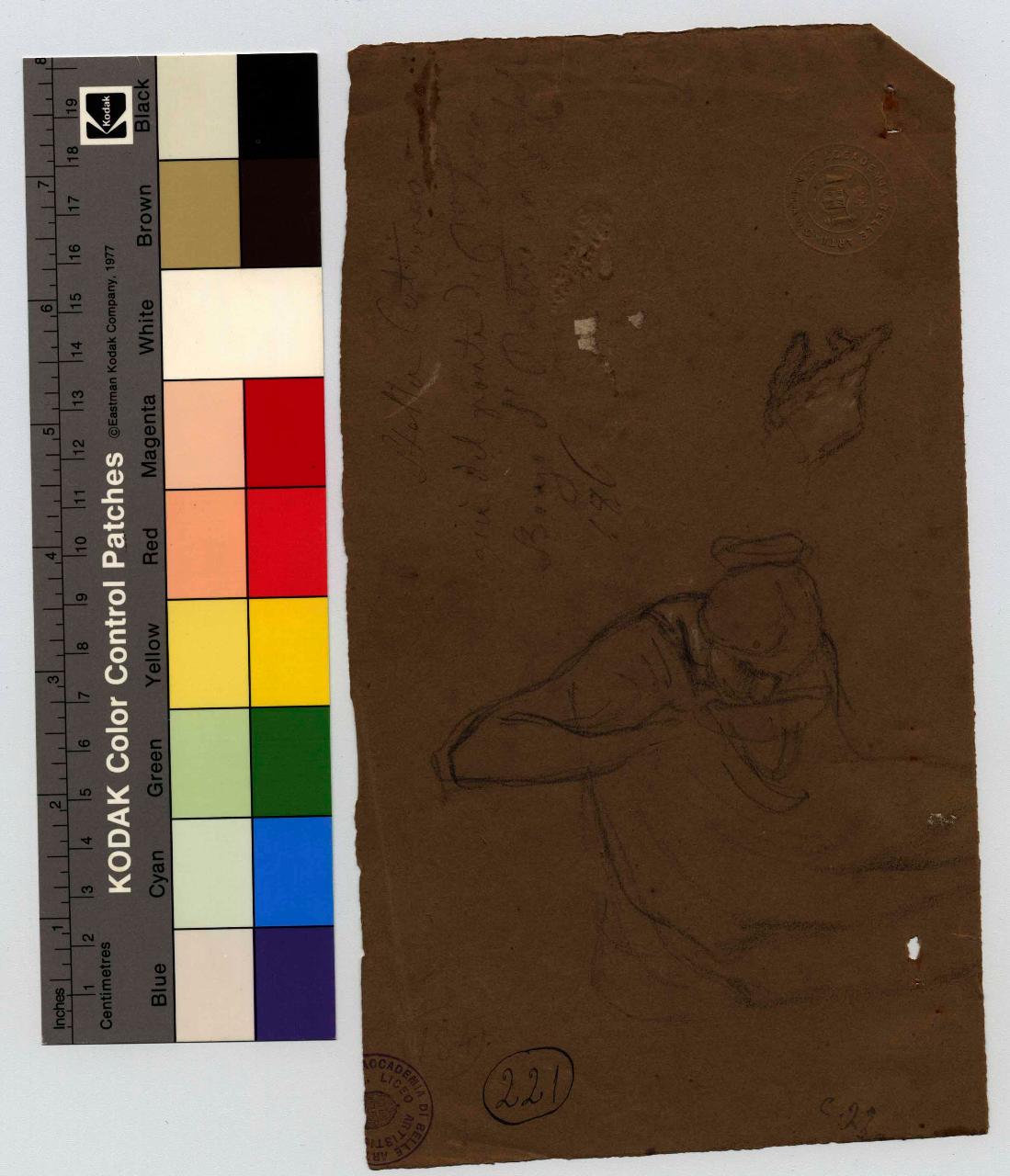 Donna che beve a mezza figura. Studi di mani/ Studio di dorso, figura femminile che beve, mani | nudo maschile, dorso (disegno) di Hayez, Francesco (metà sec. XIX)