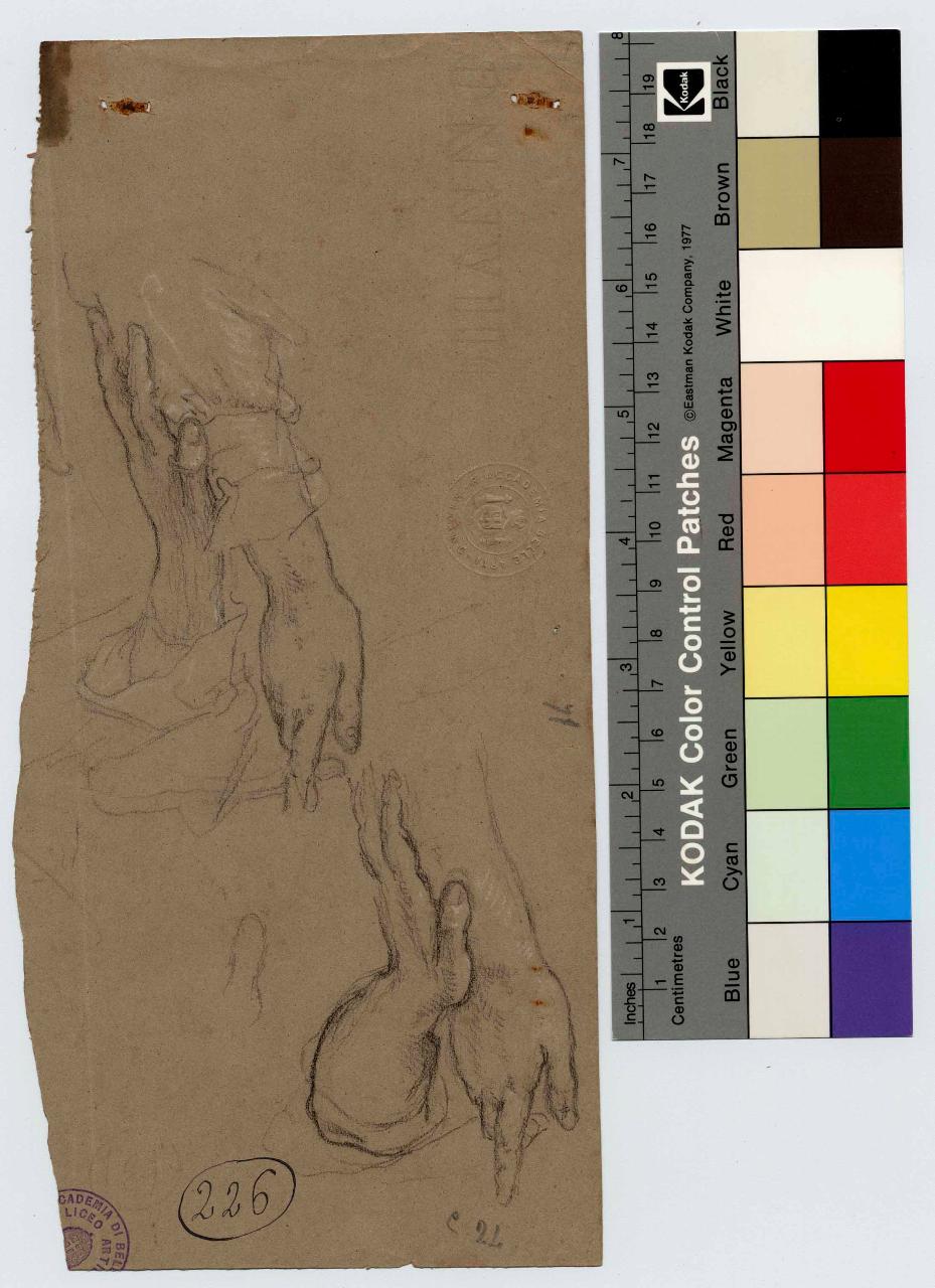 Studio di mani e braccia, mani e braccia (disegno) di Hayez, Francesco (metà sec. XIX)