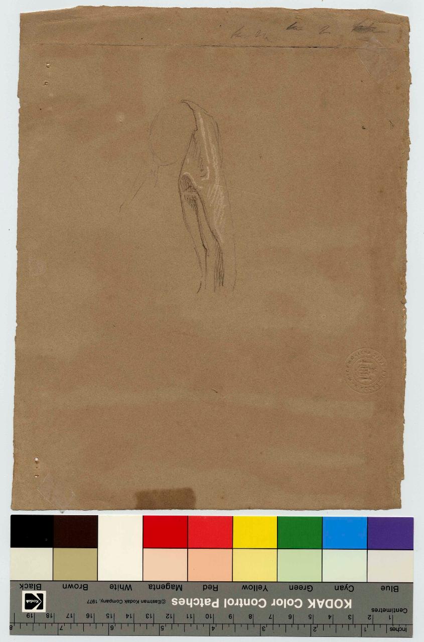 Studio di velo (copri-capo) femminile, panneggio (disegno) di Hayez, Francesco (metà sec. XIX)