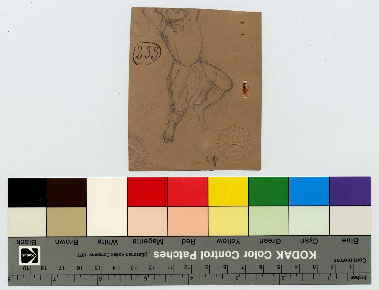 Figura d'uomo cadente dall'alto, figura maschile (disegno) di Hayez, Francesco (metà sec. XIX)