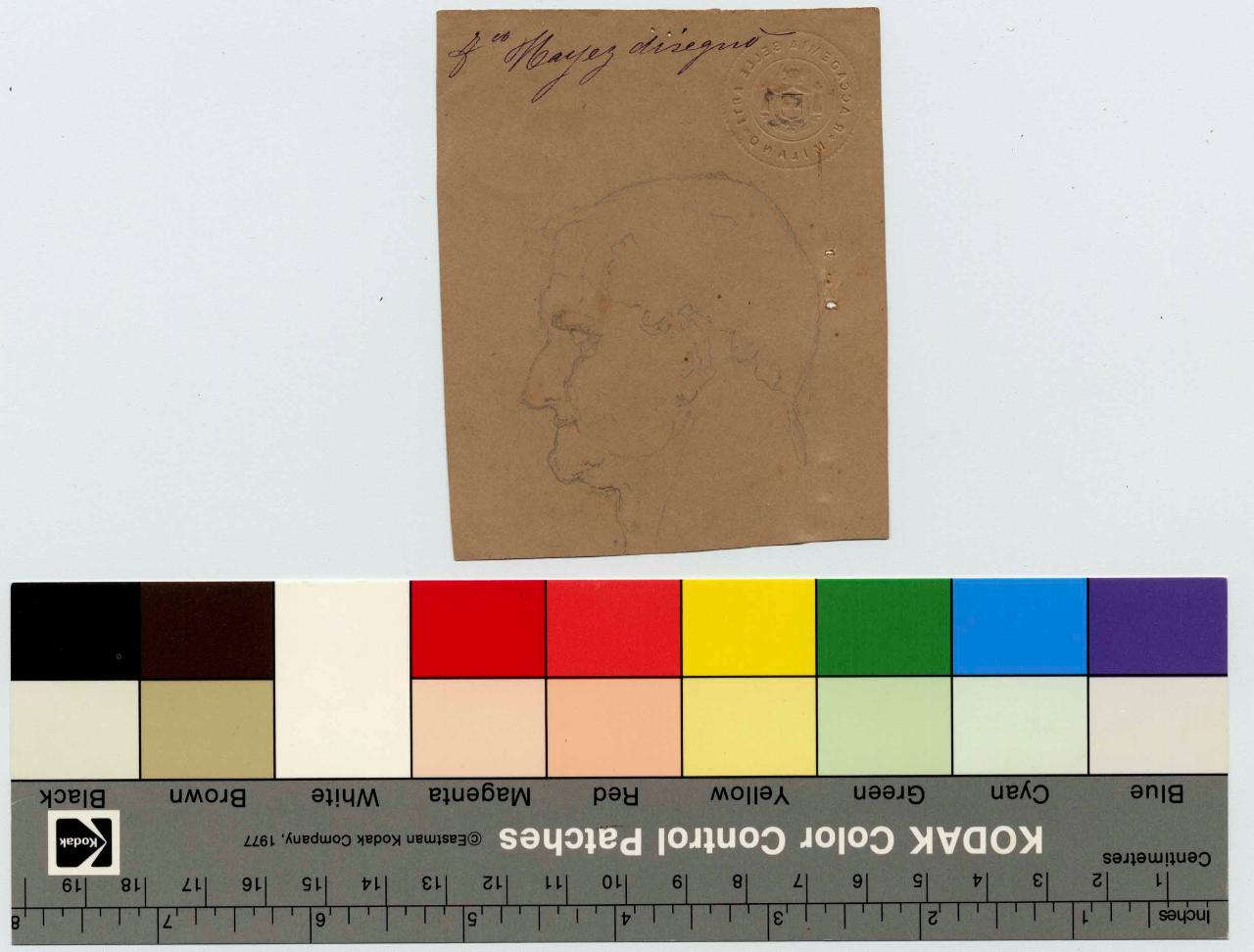 Testa in profilo, testa maschile (disegno) di Hayez, Francesco (metà sec. XIX)