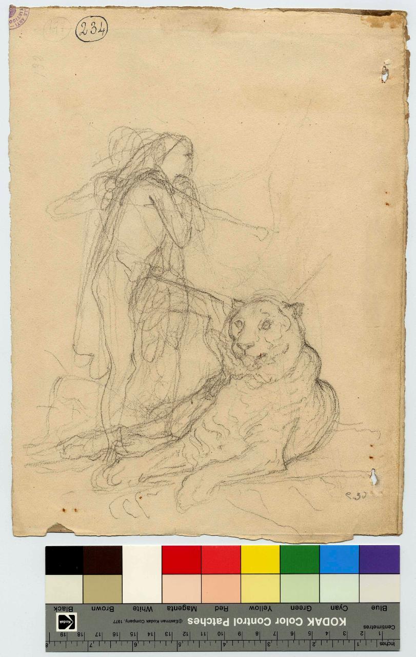 Uomo e leone, figura maschile e leone (disegno) di Hayez, Francesco (metà sec. XIX)
