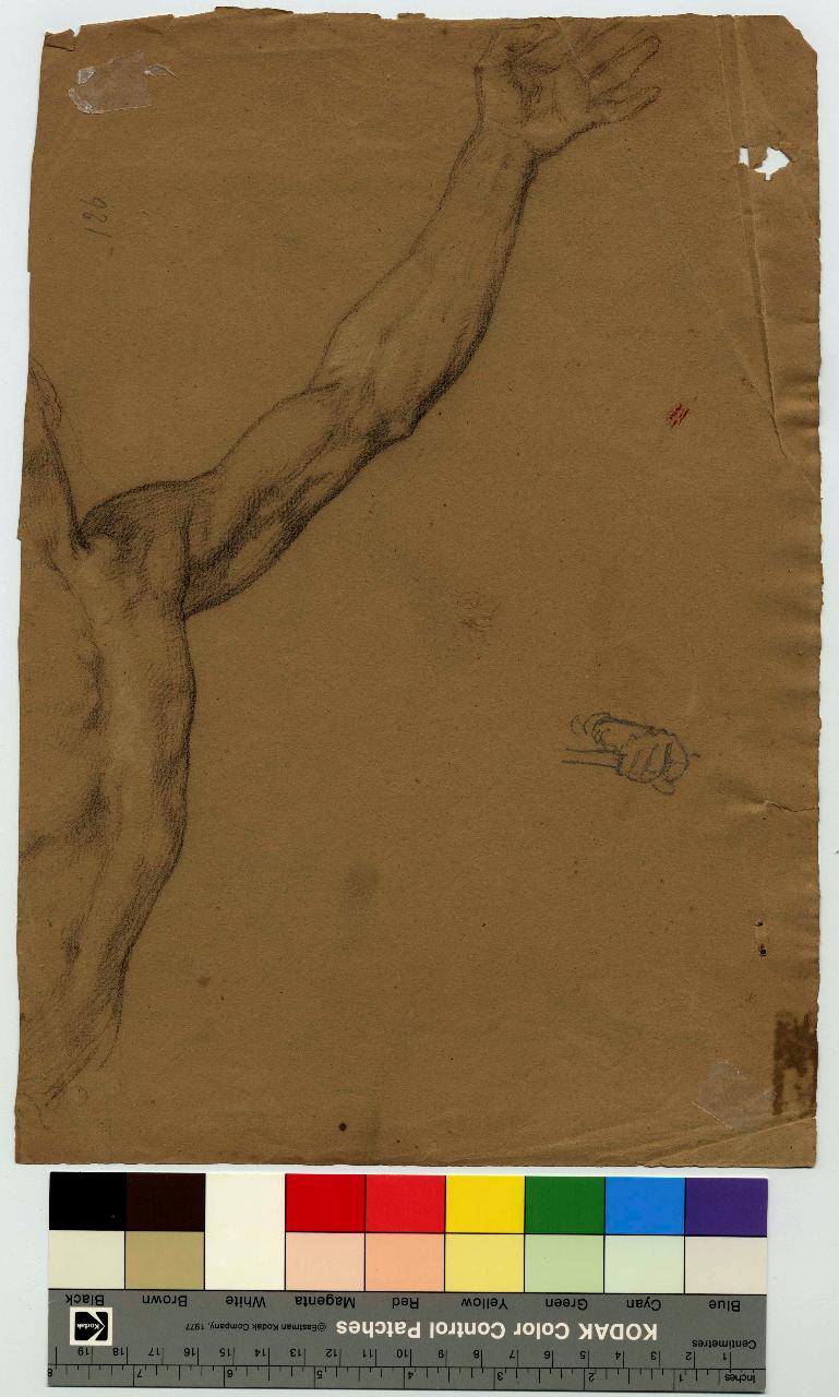Braccio teso e parte del torso, nudo, torso maschile e braccio (disegno) di Hayez, Francesco (metà sec. XIX)